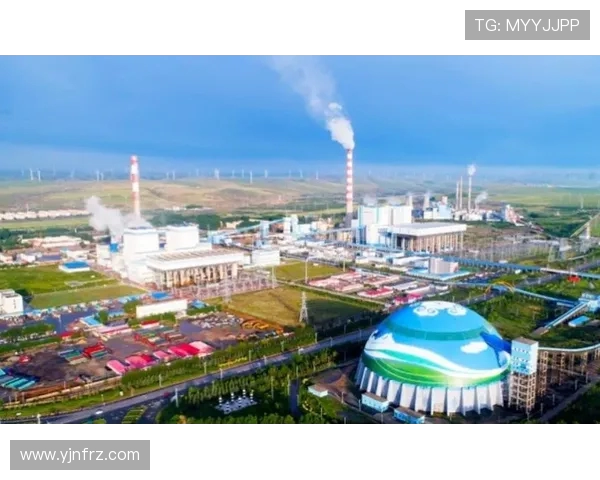 新疆广汇产业格局升级与区域经济协同发展的新探索 新疆广汇产业格局升级与区域经济协同发展的新探索