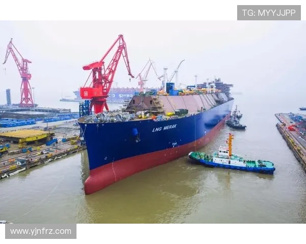 LNG在世界冠军杯中的状态表现分析与点评